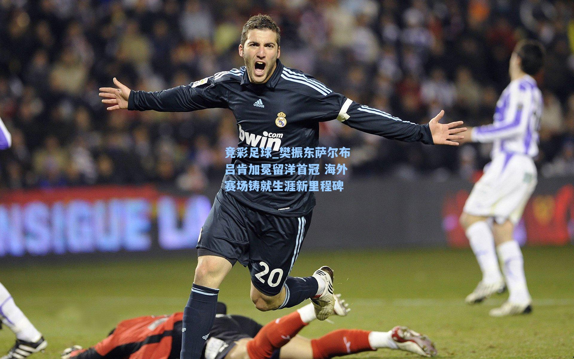 竞彩足球_樊振东萨尔布吕肯加冕留洋首冠 海外赛场铸就生涯新里程碑