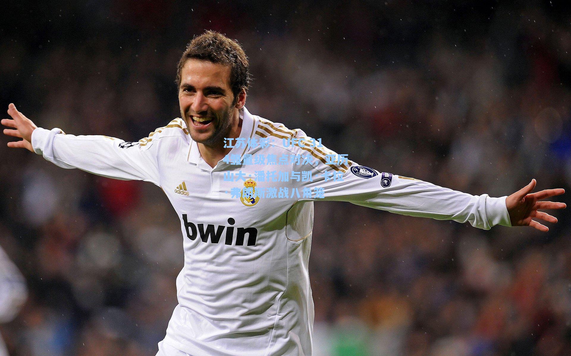 UFC 314雏量级焦点对决，亚历山大·潘托加与凯·卡拉·弗朗斯激战八角笼