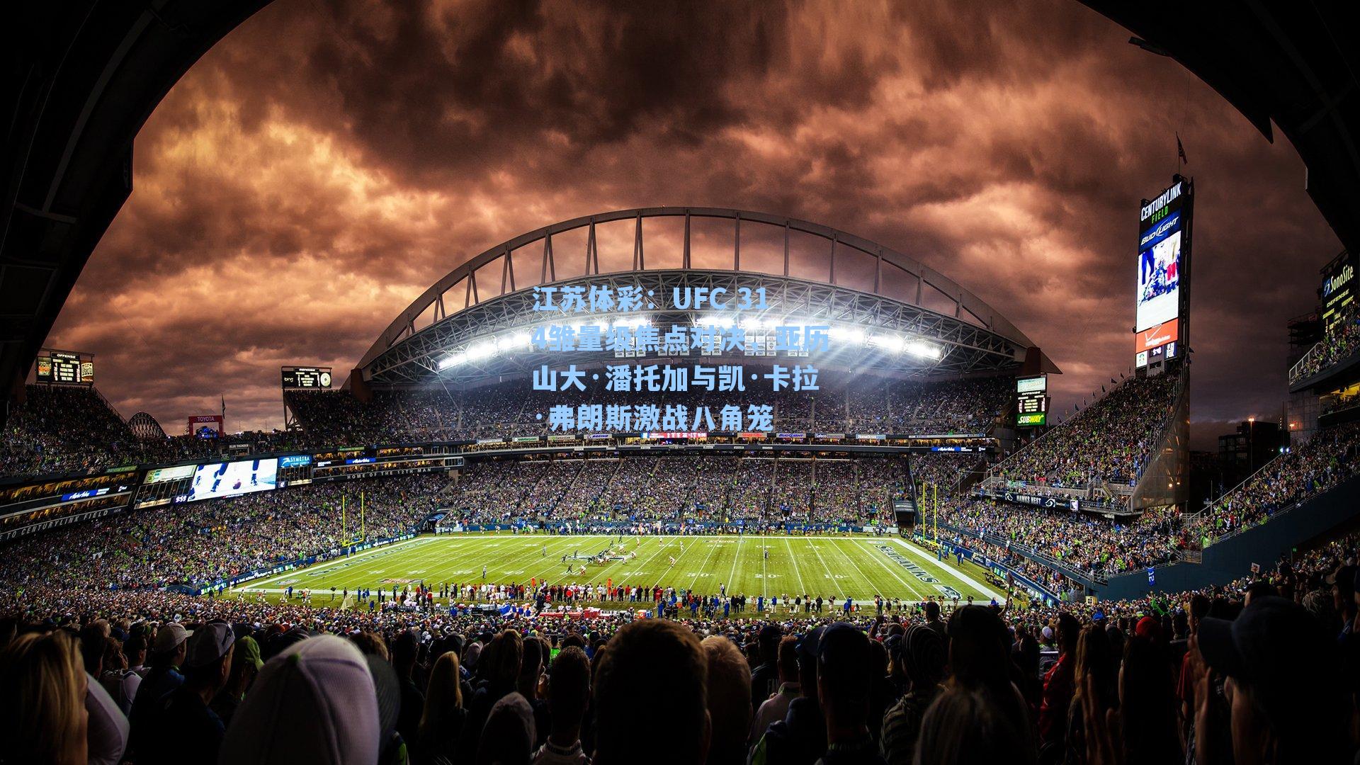 UFC 314雏量级焦点对决，亚历山大·潘托加与凯·卡拉·弗朗斯激战八角笼