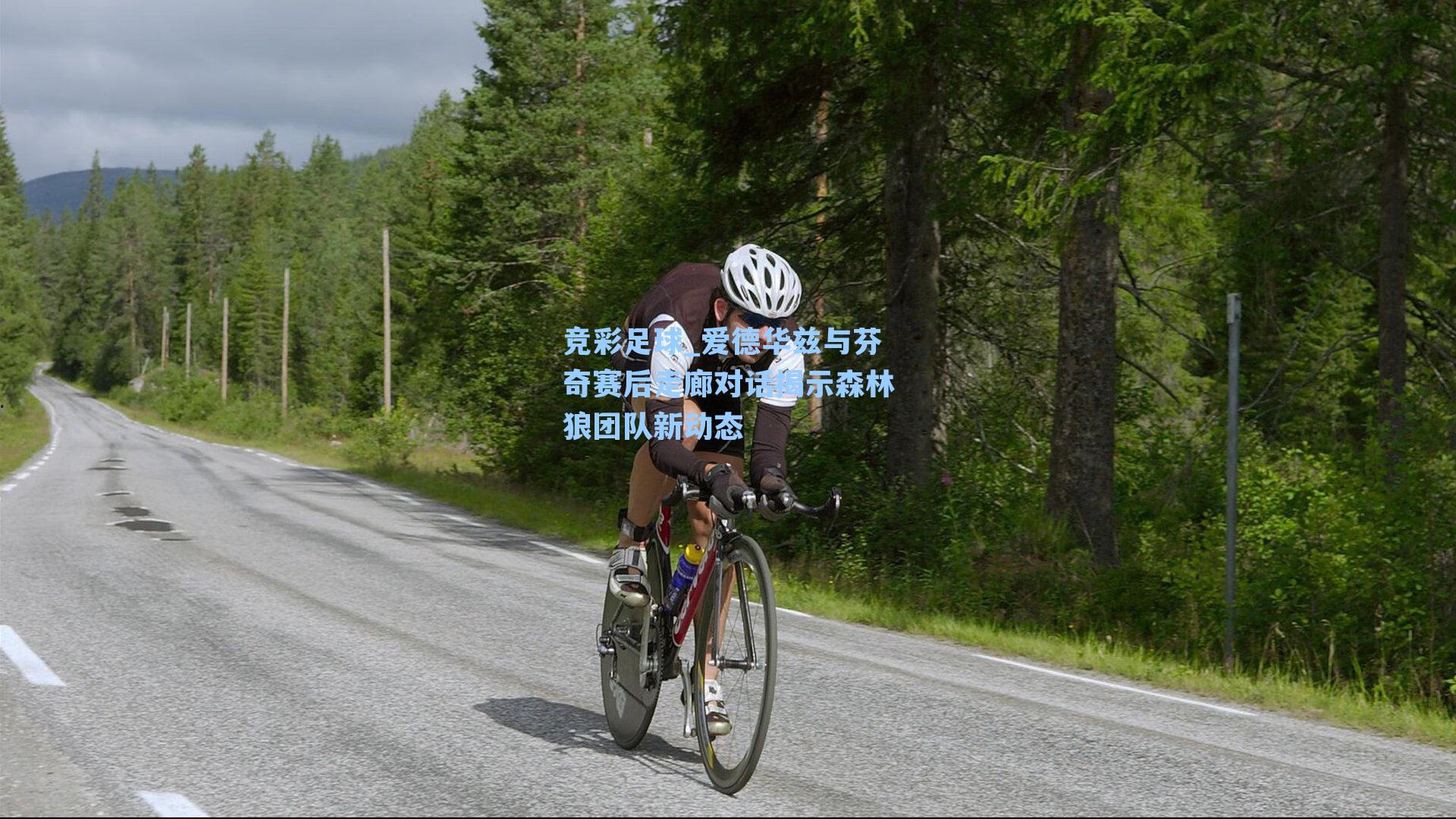 竞彩足球_爱德华兹与芬奇赛后走廊对话揭示森林狼团队新动态